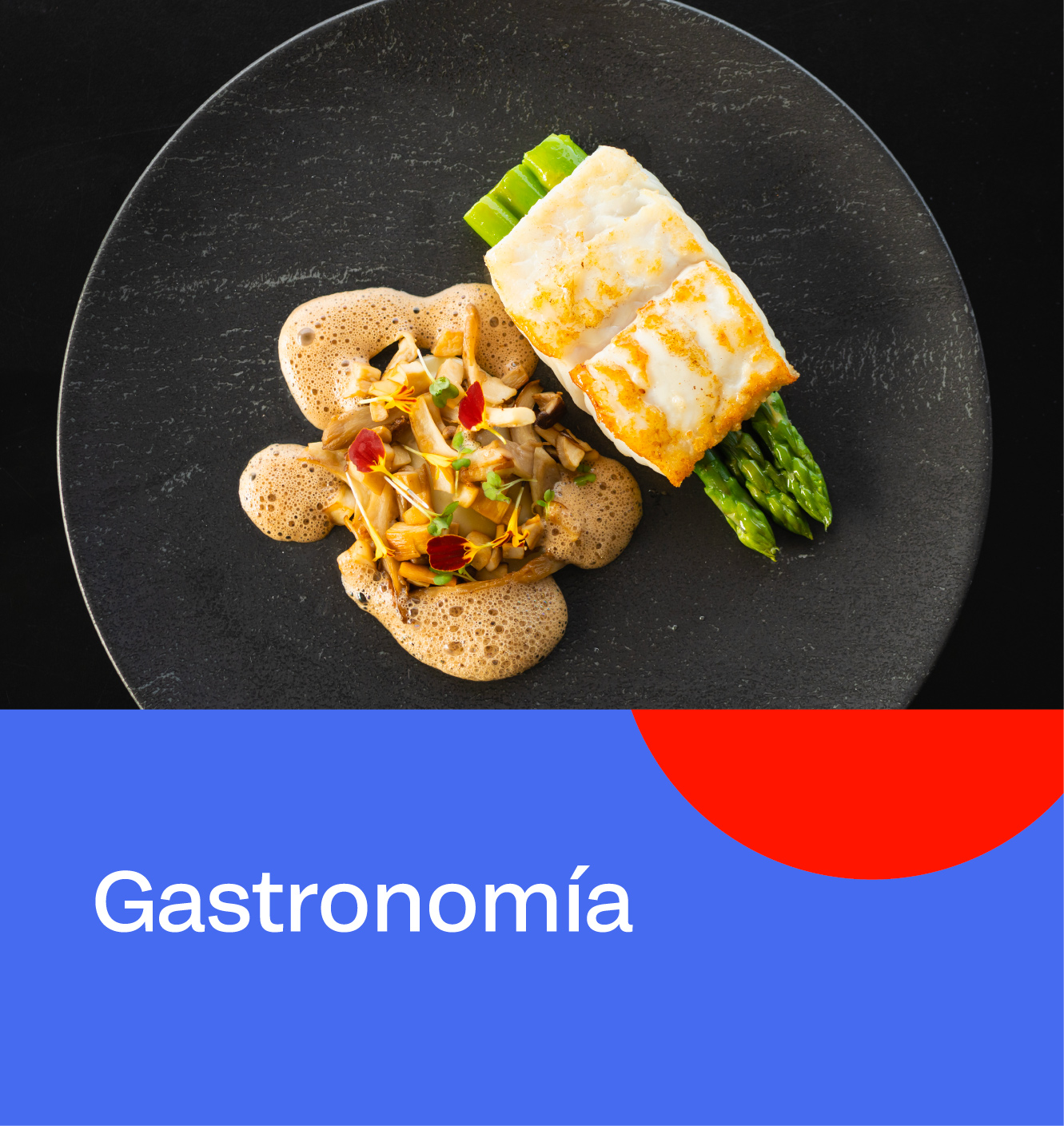 Portada Industria - Gastronomía